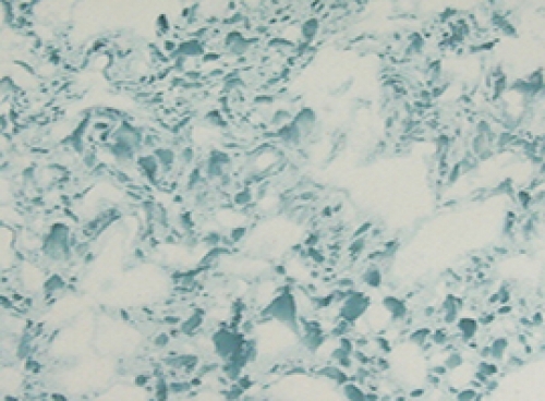 Xanh Trời Vân Mây